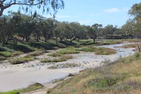 Brewarrina Fish Traps  Murdi Paaki Regional Assembly